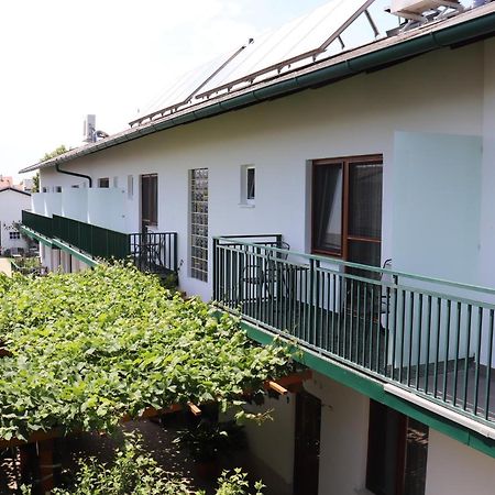 Pension Daniela Steiner Podersdorf am See Exterior photo